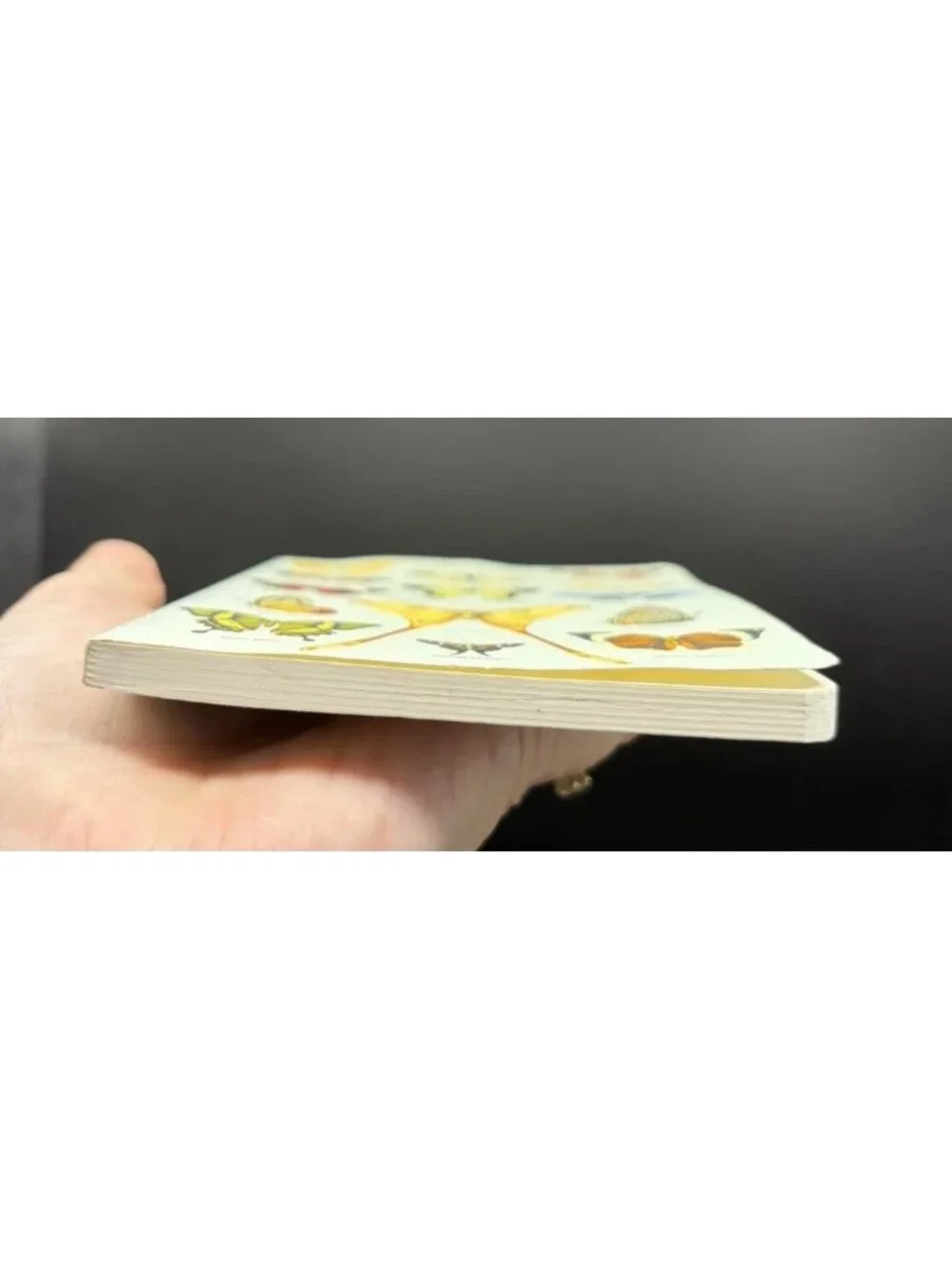 Cavallini & Co Butterflies Papillons Unlined Blank Journal Stationery USA
